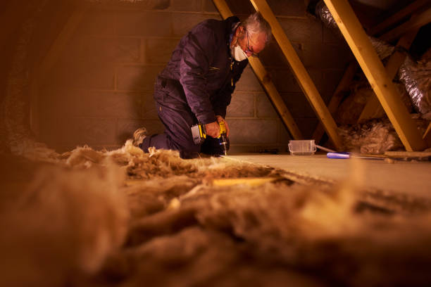 Best Insulation Installation Services in Fenton, MI